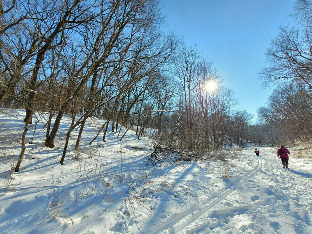 Garage Door Service Bellevue, NE